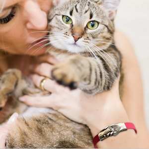 Cat paw bracelet online