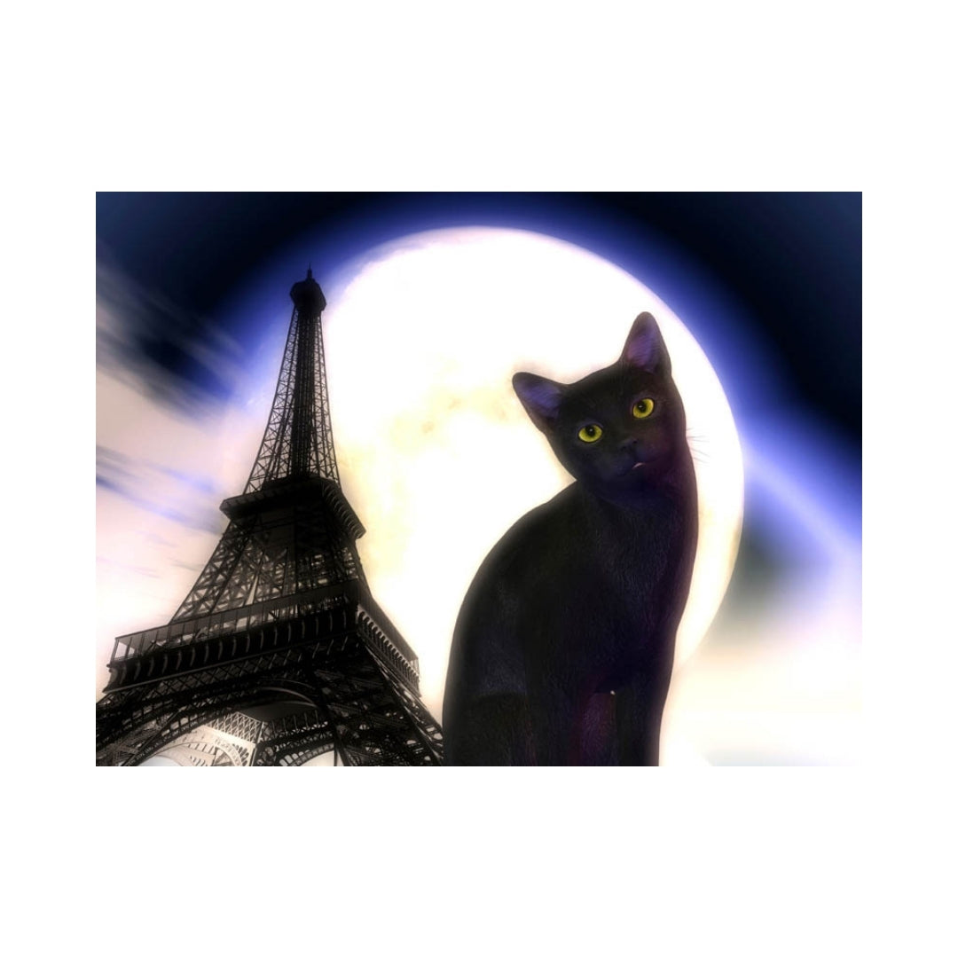 CATS-Kitty in Paris by Alan Foxx